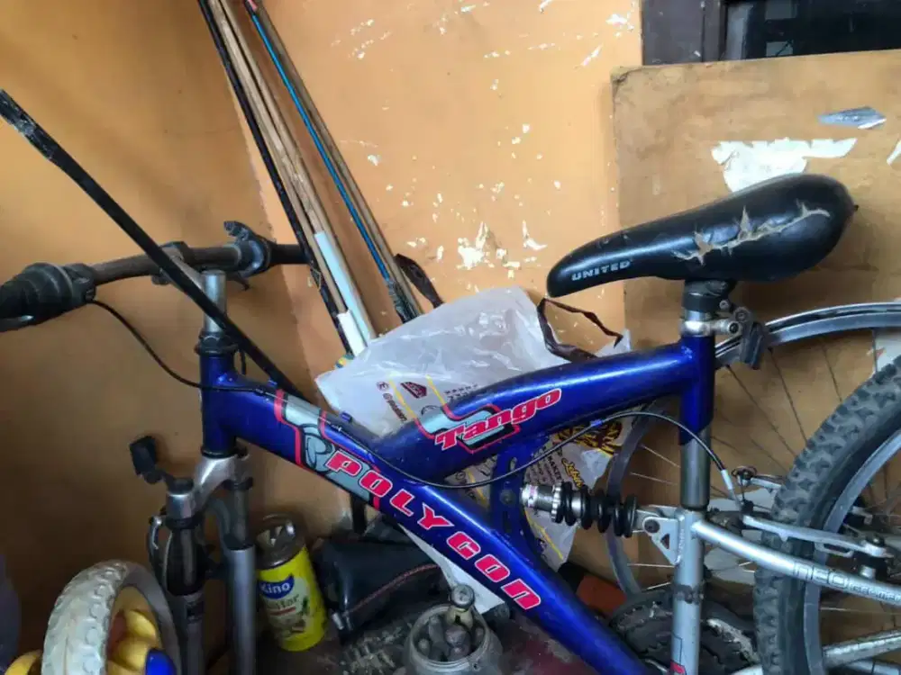 Sepeda polygon jual apa adanya