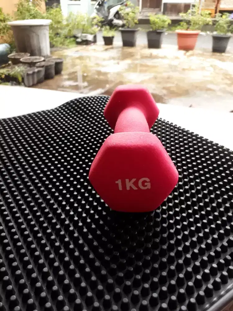 Dumbell kelebihan beli