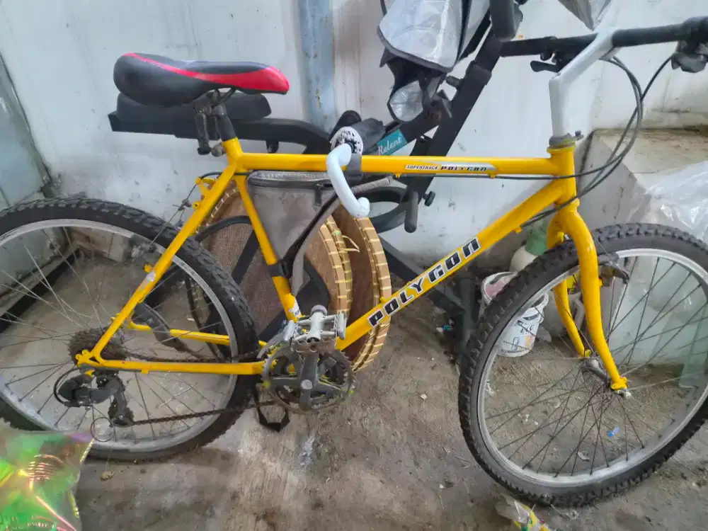 Sepeda federal sdh repaint