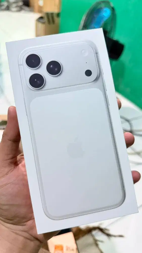 17 PM 256 iBox Segel