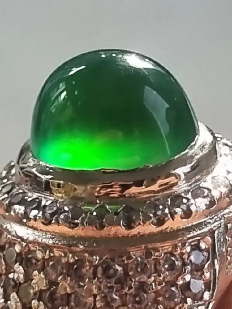 Bacan Doko hijau botol