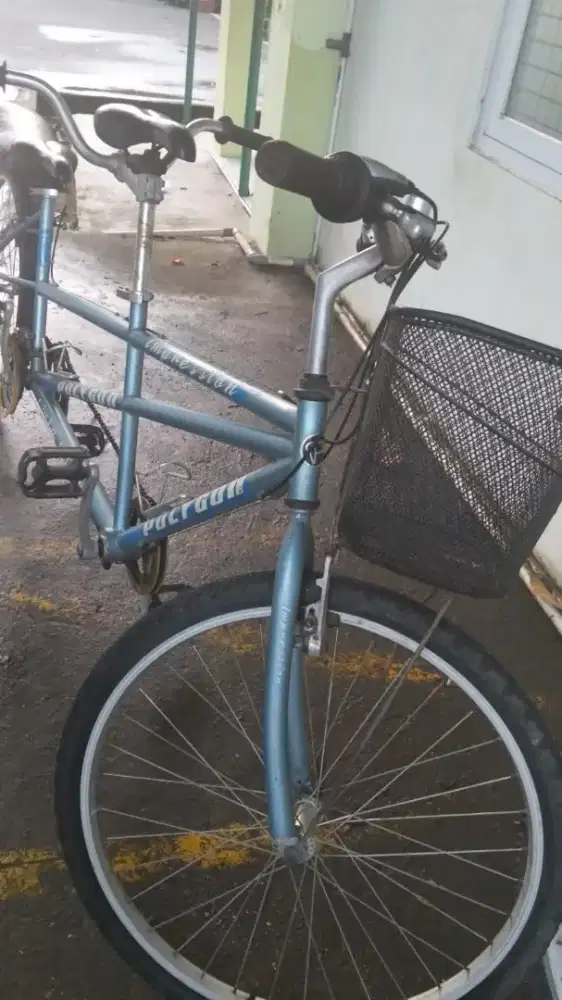 Polygon impresia tandem