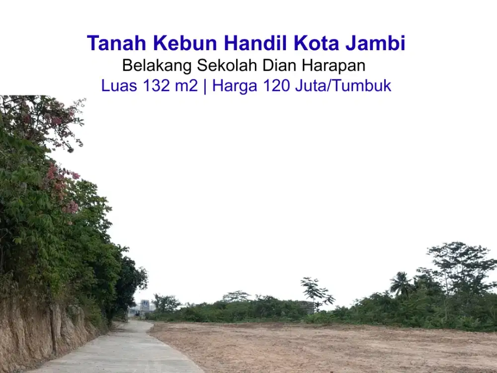 Jual tanah siap bangun kebun handil kota jambi