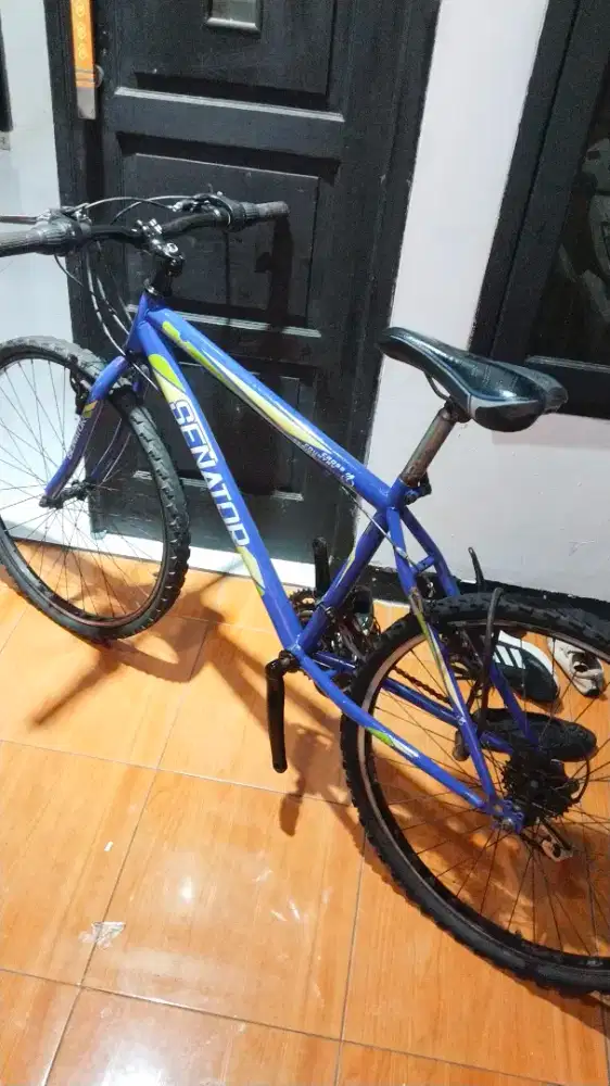 Sepeda MTB senator