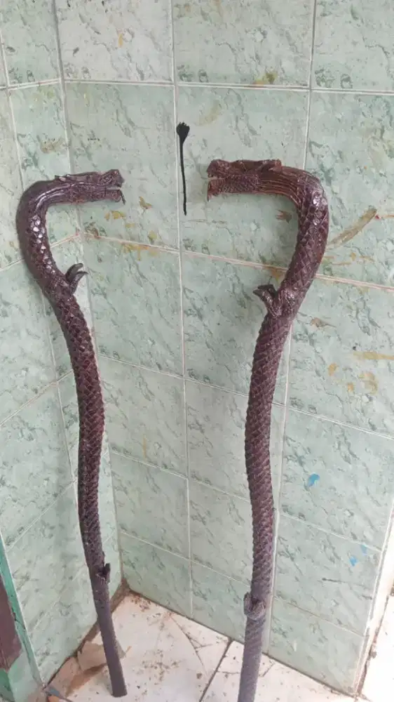 Tongkat iteuk karakter