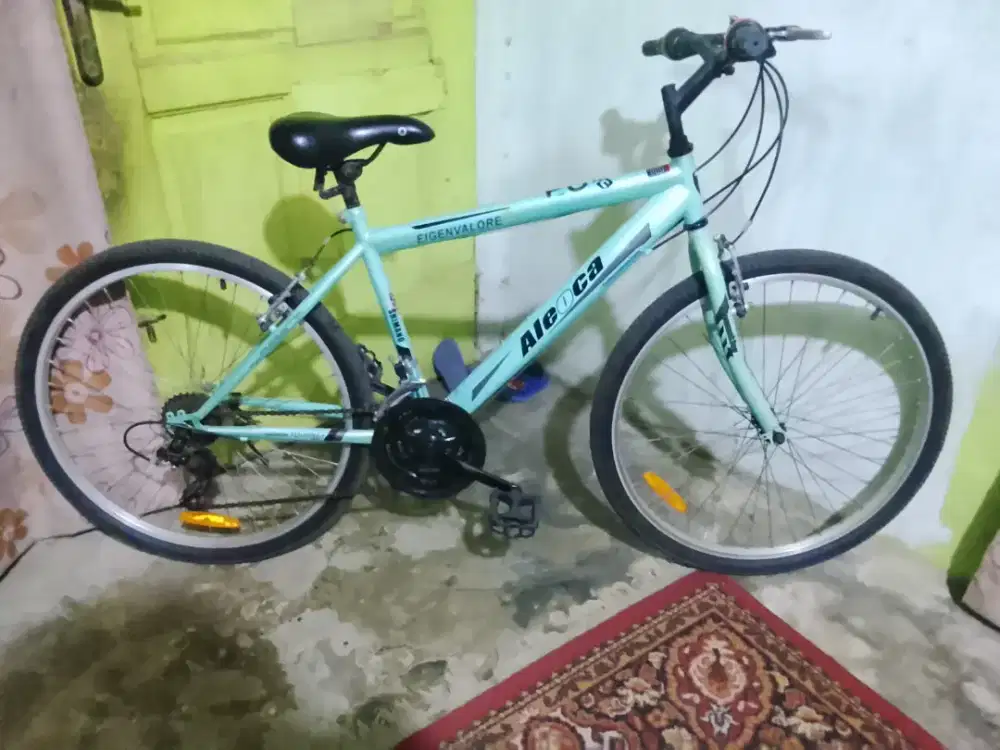 Di jual sepeda gunung