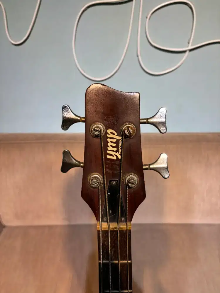 Bass akustik Olympia