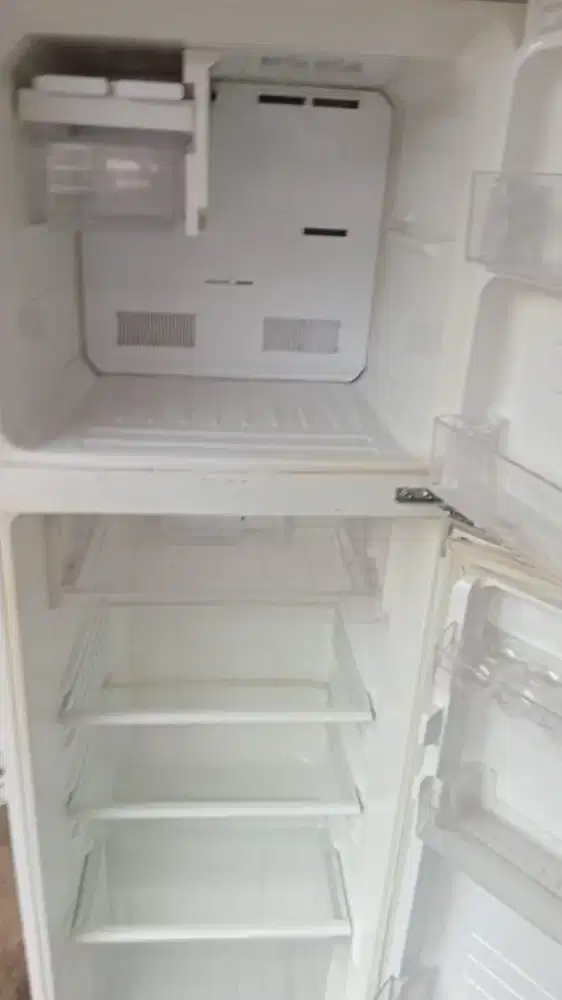 Kulkas Sharp dlman kumplit orian