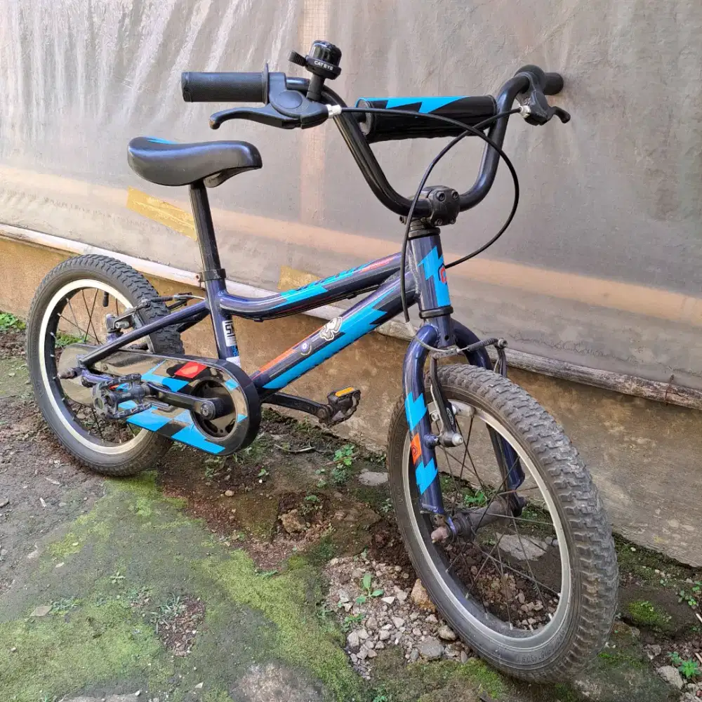 Sepeda Anak 16 inch Polygon Champ