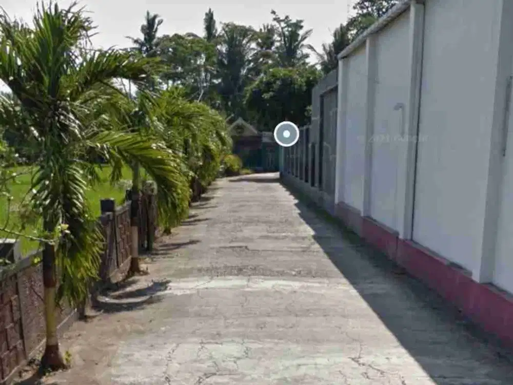 tanah hokky ngantong area komersil banyuwangi