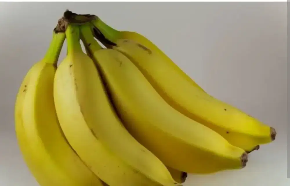 Kerja art seminggu menginap