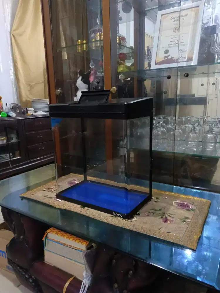 Aquarium _ikan hias