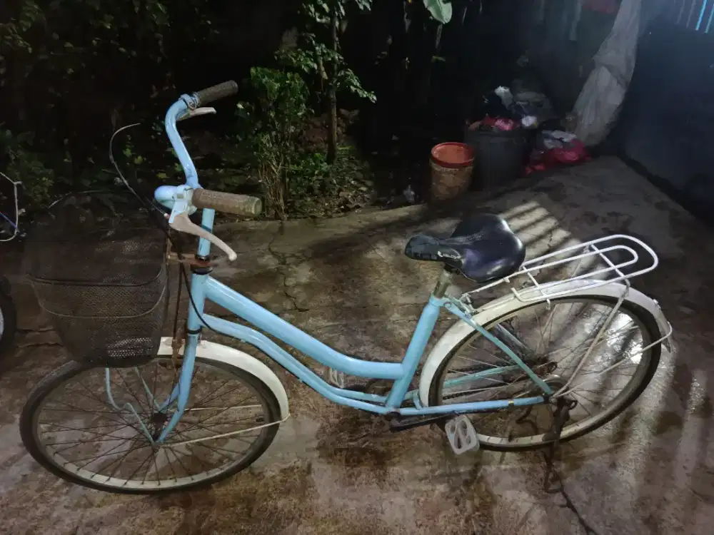 SEPEDA “SkyRide Classic”