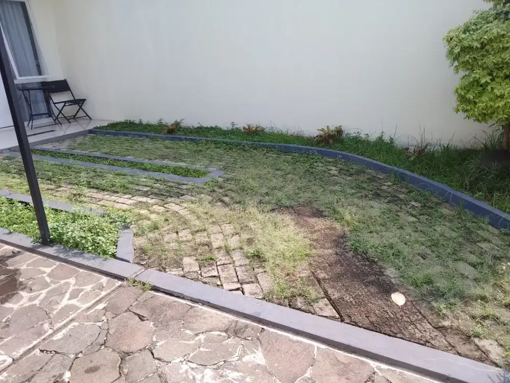 Perawatan taman rumah - maintenance garden - perapihan halaman rumah