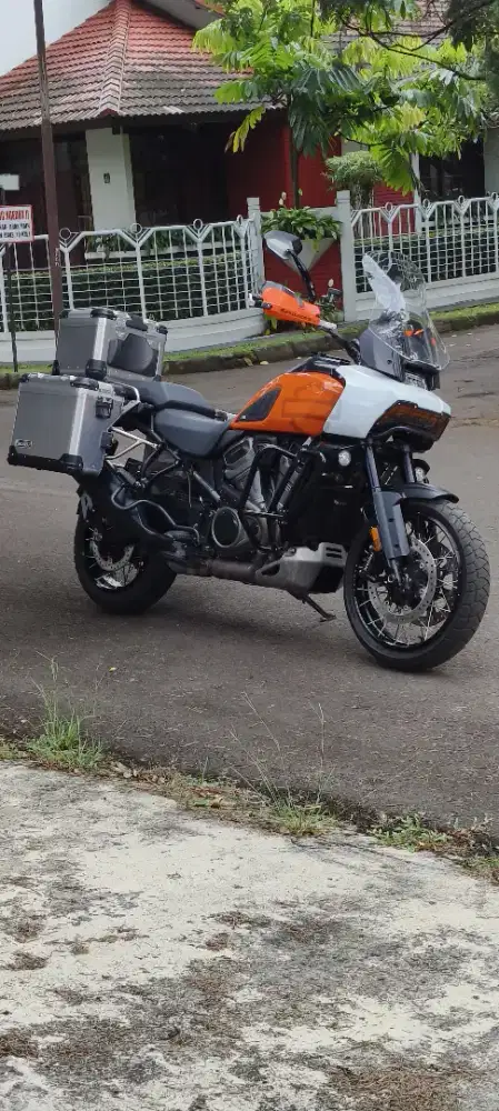 HD- Pan America 1250 Special Tahun 2021 Twotone