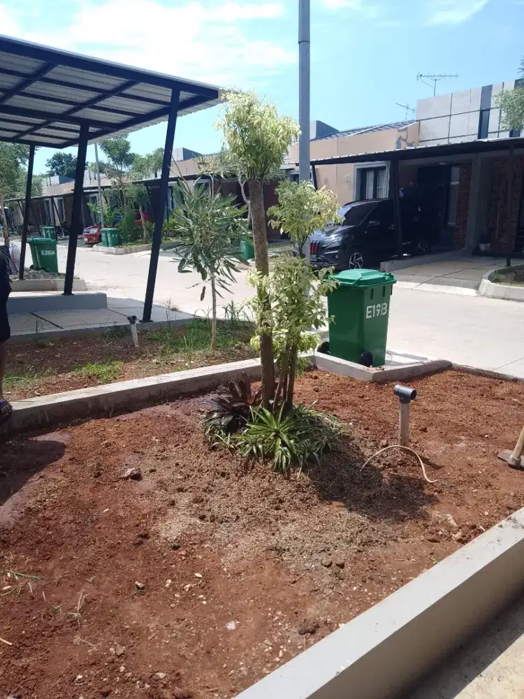 Pembuatan taman minimalis - taman kering yang mudah di rawat