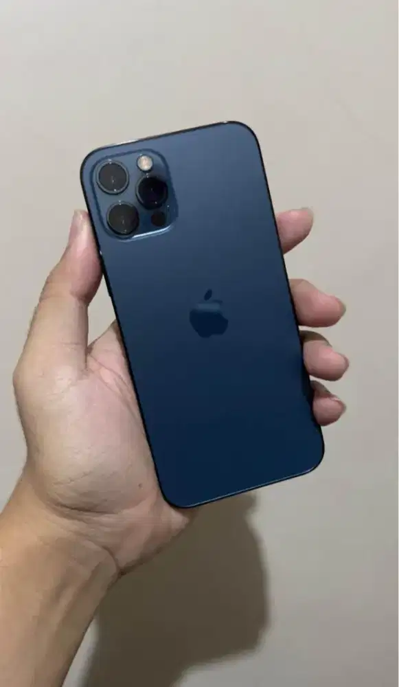 Jual Cepat Iphone 12 Pro 512gb
