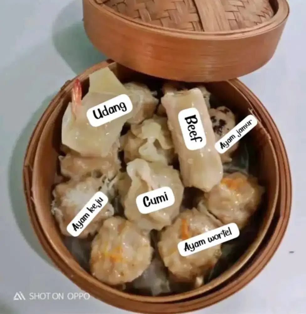 Assisten rumah tangga