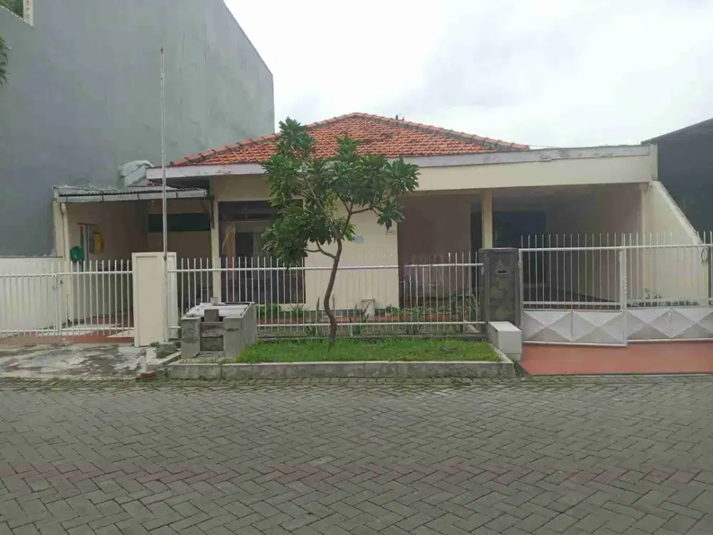 Rumah Kutisari Selatan SHM luas 300+ harga 3m nego