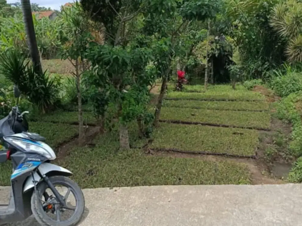 Jual tanah 100m2 shm di gerlong permai syp setiabudi