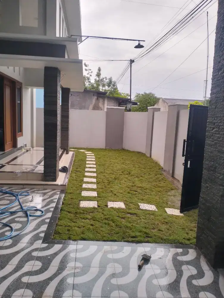 Penanaman rumput gajah mini & Manila Jepang murah