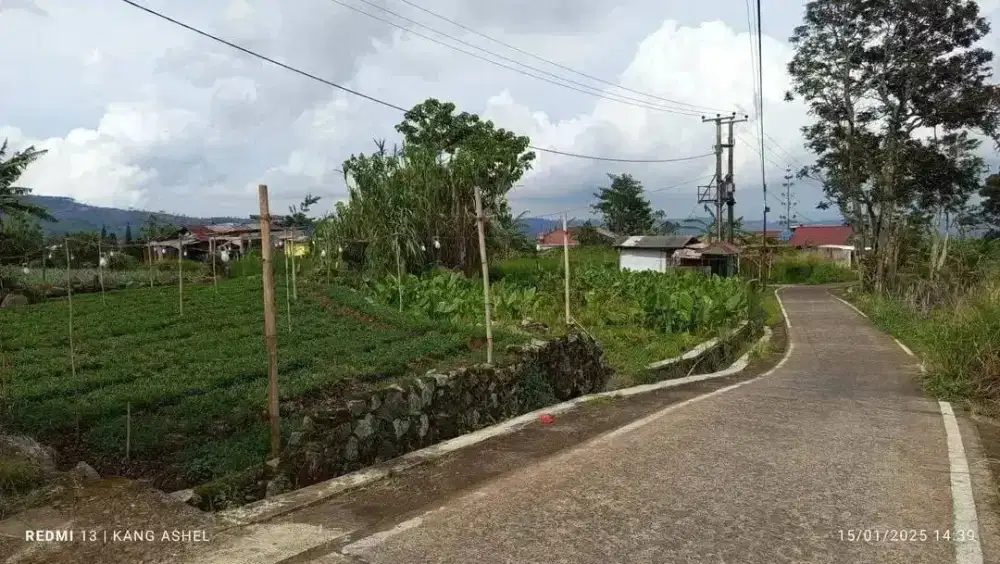 Di jual butuh tanah depan jalan raya Cipanas ketinggian 1,200 MDPL