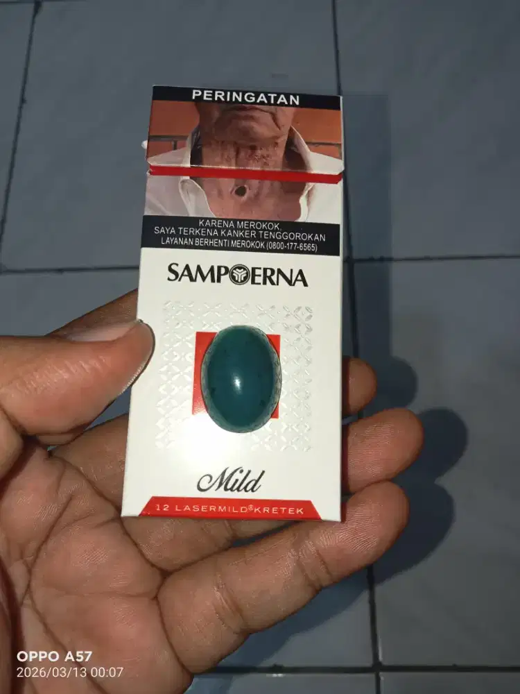 Dijual Bacan selasih