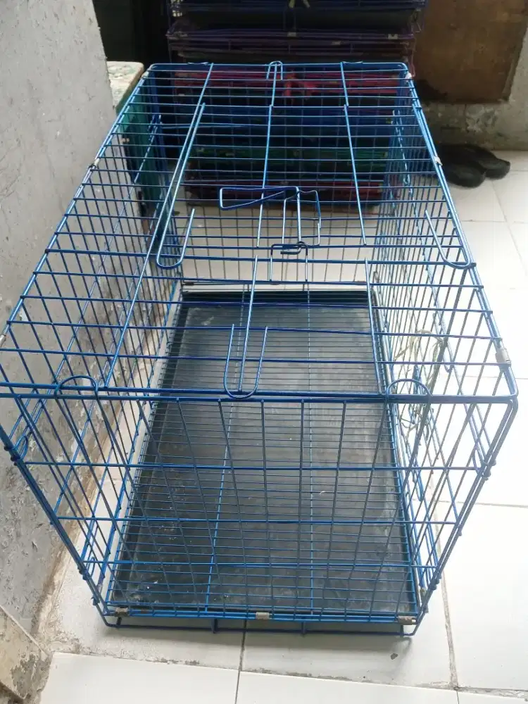 Kandang kucing besar