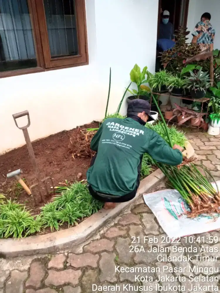 Bikin taman kantor dan rumah