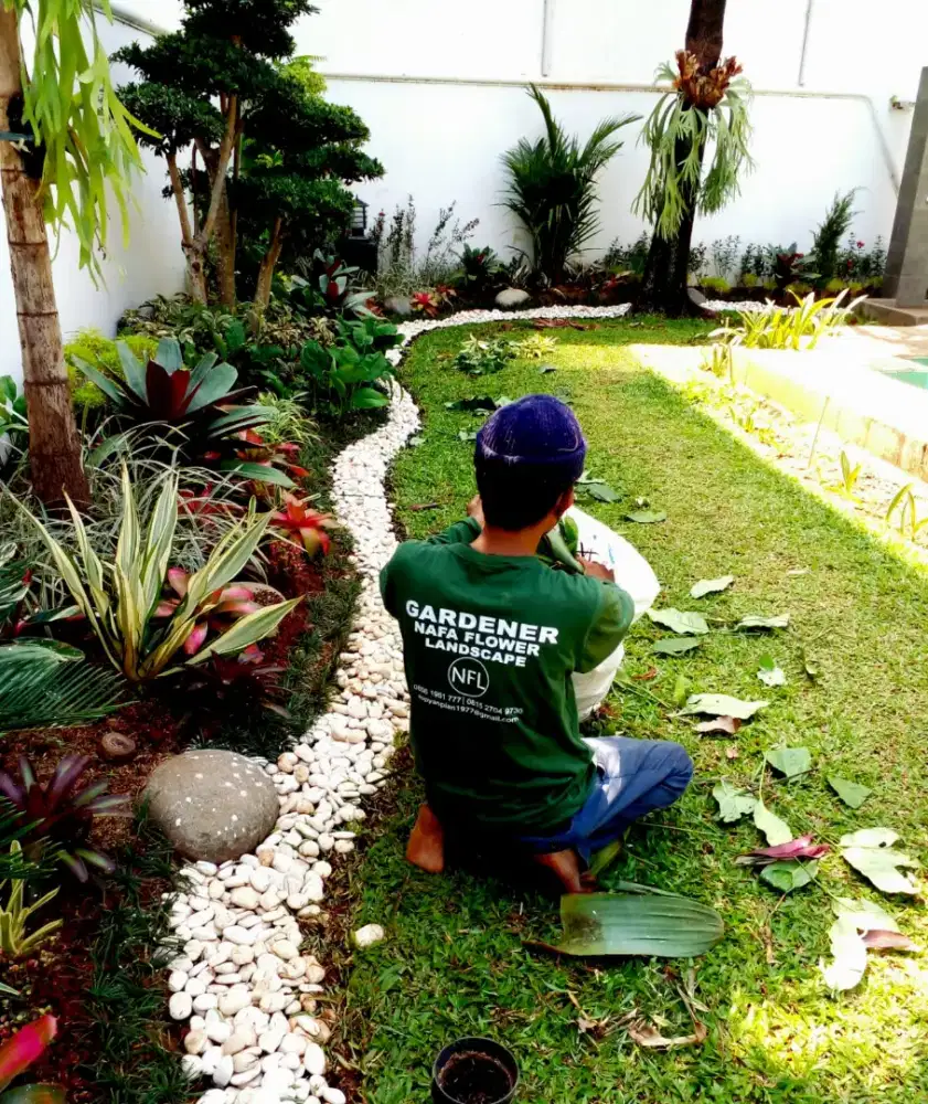 Renovasi taman murah
