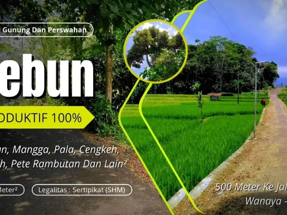 DIJUAL KEBUN PRODUKTIF VIEW GUNUNG & SAWAH – DURIAN, MANGGA, RAMBUTAN, PETE SIAP PANEN