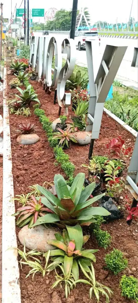 Pembuatan taman murah