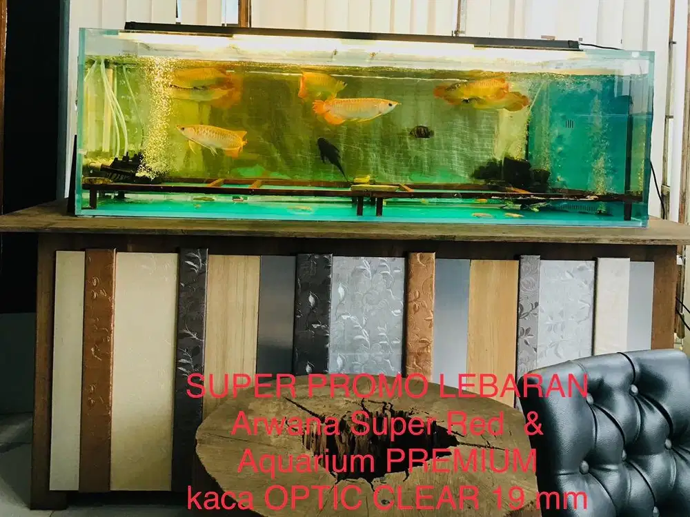Aquarium Arwana Arowana Super Red Premium kaca optic clear 19 mm