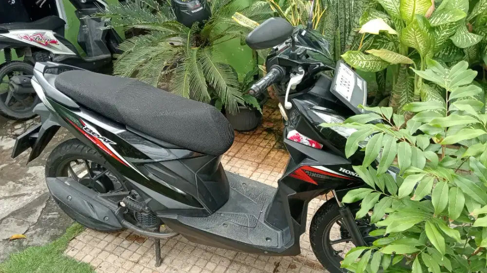 Honda beat 2020