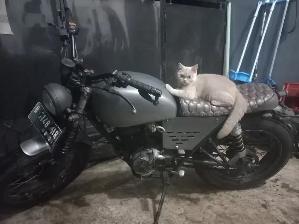 GL100 thn 83 custom japstel scrambel