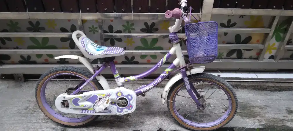 Sepeda anak phoenix star 16