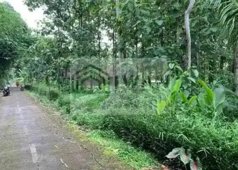 Tanah Pekarangan Luas & Murah Dapat 2 Akses Jalan