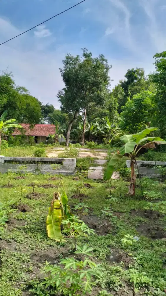 Dijual Tanah SHM Kedung Banteng, Madiun