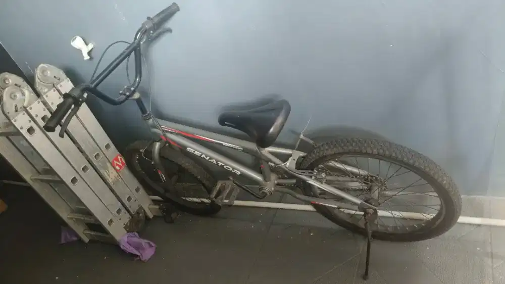 Sepeda cocok untuk remaja