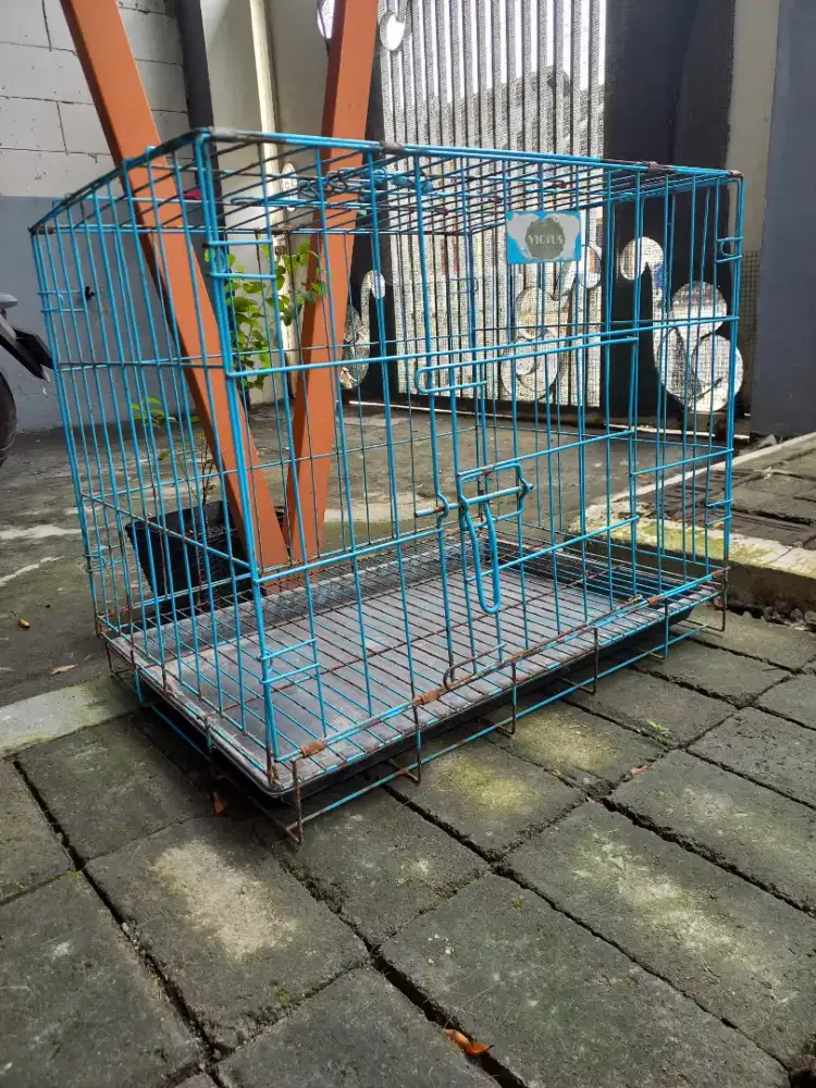 Rumah Penitipan Kucing