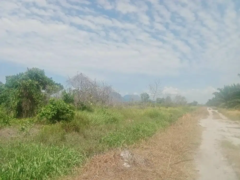 SHM jual murah tanpa prantara