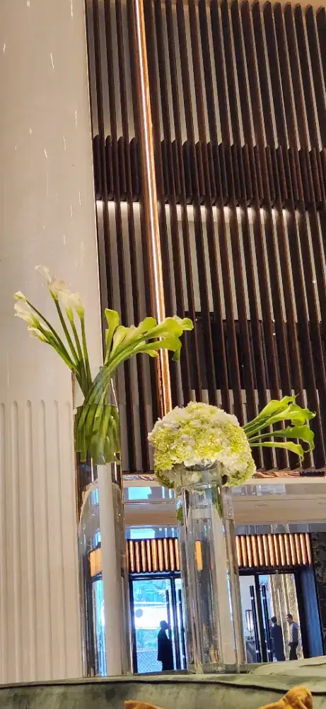 Kennel girl/boy pengurus anjing