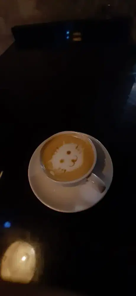 Di butuhkan barista dan kitchen