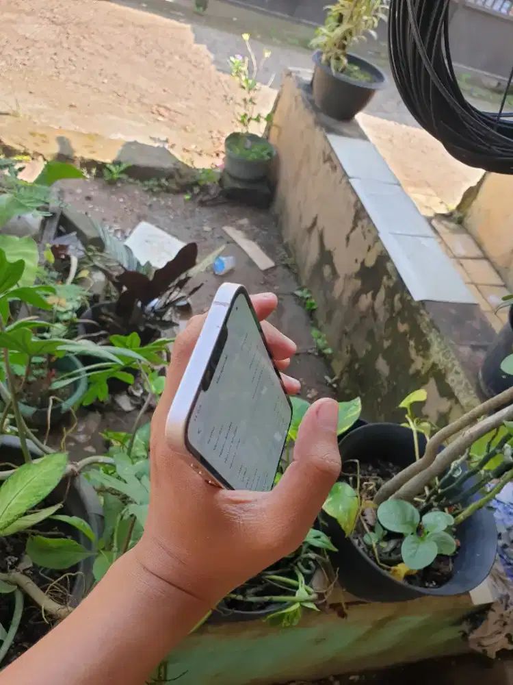 IPhone 13 256GB all pp mulus