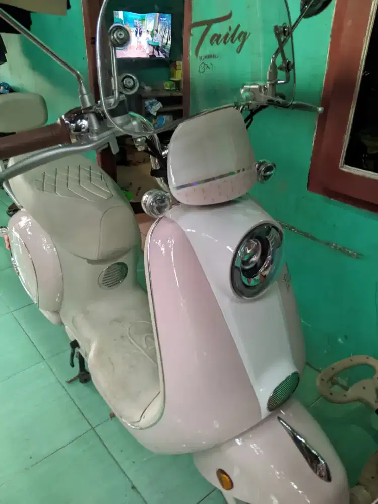 Jual cepat sepeda listrik merk tailg