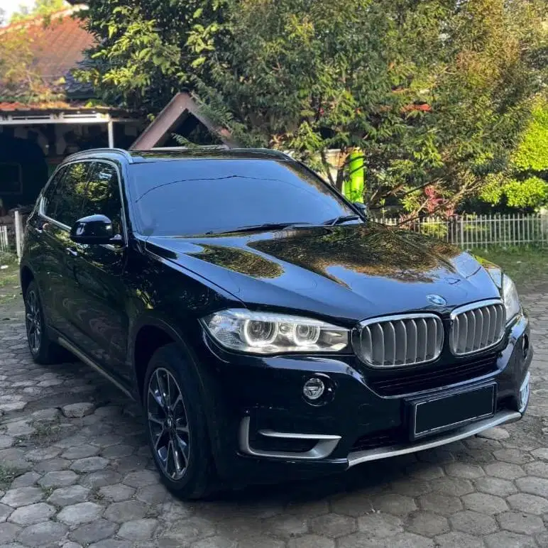 (CASH) BMW X5 xDrive35i xline F15 2015