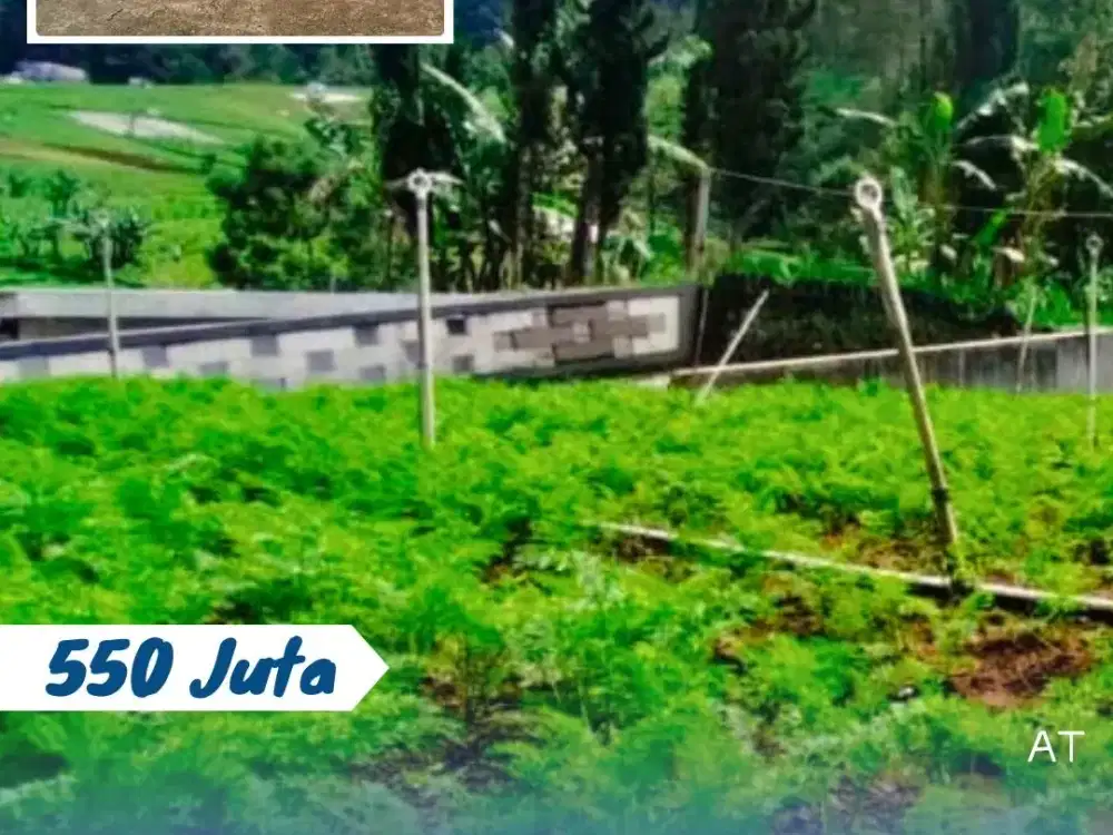 Dijual Tanah Pekarangan Tawangmangu Karanganyar