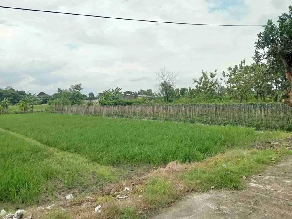 Tanah Murah Dekat Asrama Haji Donohudan