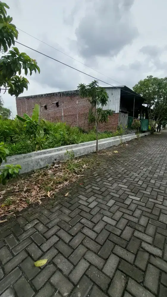 Dijual cepat tanah SHM, di tlogomulyo, jalan lebar dan bebas banjir