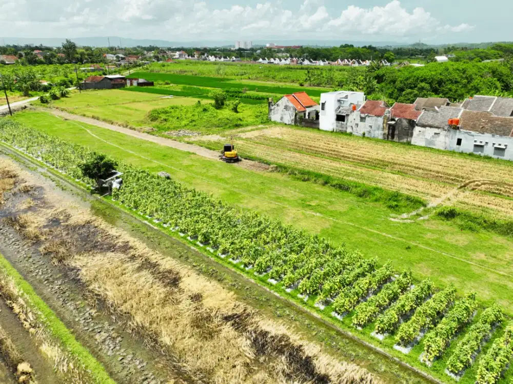 Tanah Sidoarum Godean - Lingkungan Perumahan Baru